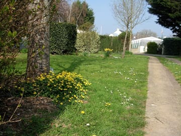 Spacious camping pitches supplied with electric hook-up