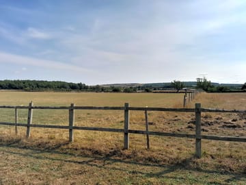 Spacious field