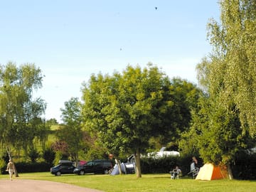Surrounded by trees