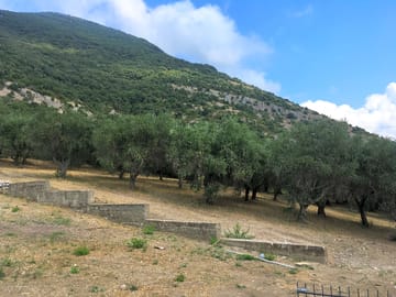 The area around the site
