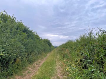 Lane leading to the parking field
