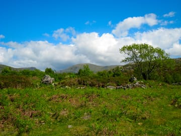 View near top falls walk