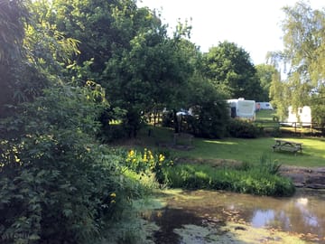 Stream