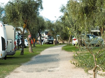 Piazzole