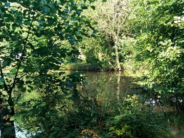 Opposite a nature reserve