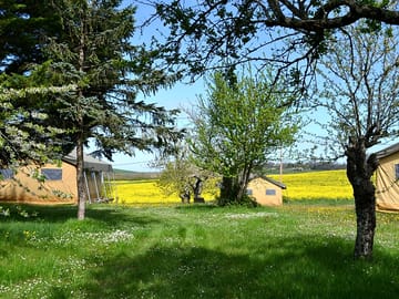 Safari tents in spring