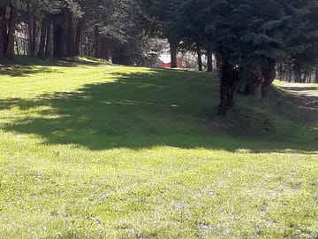 Grass pitches