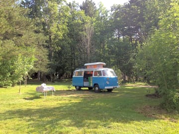 Pitch in a sunny meadow