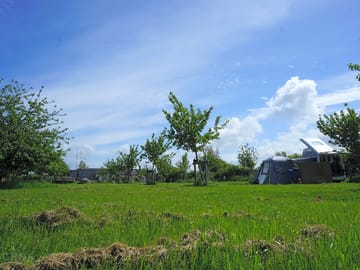 Grassy pitches