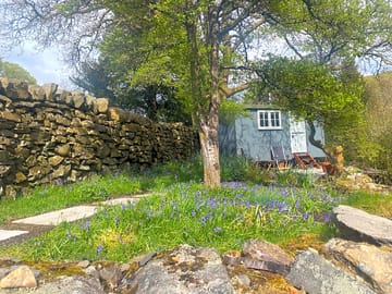 Garden around the hut