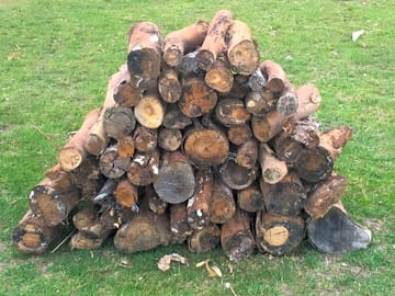 Logs stacked ready for a warm winter fire