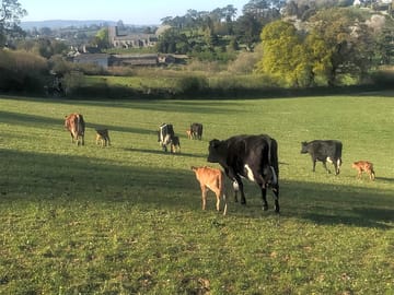View from the local footpath