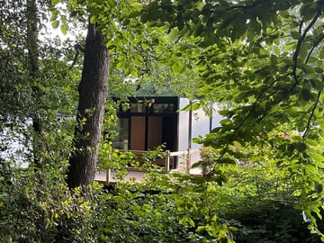 From the woods