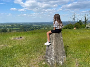 Cobbett's view