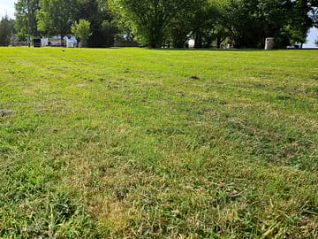 Non-electric pitches looking towards the entrance gates