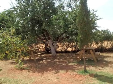 Picnic benches scattered around the site