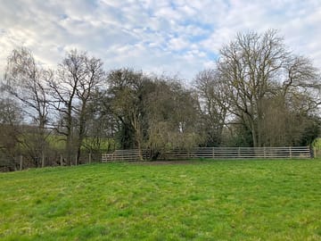Looking west