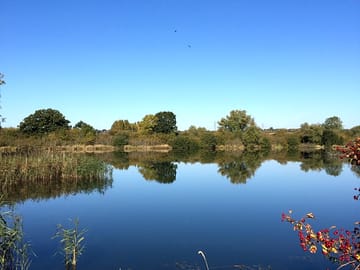 Great lake view