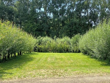 Grass pitch