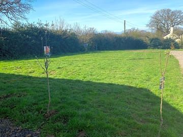 Grass pitches