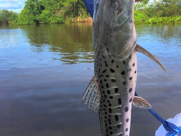 Fishing lake