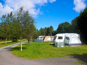 Main field
