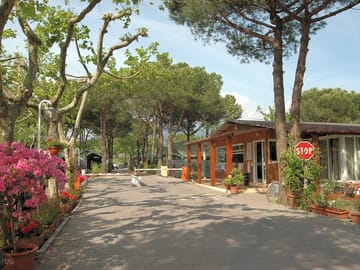Entrance to the site