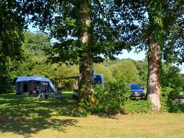 In the shade under the trees