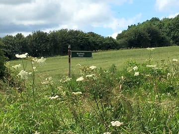 The field is near the footpath to wolfhall