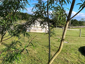 Surrounded by greenery