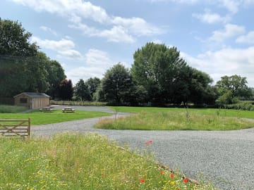 Site looking south