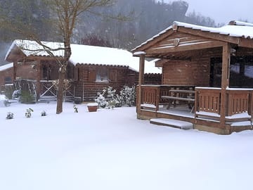 Under the snow