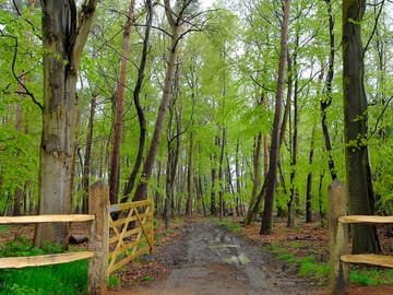Woodland entrance