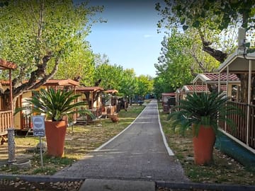 Around the site