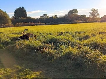 Fresh air in abundance
