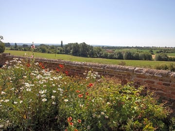 Around the farm