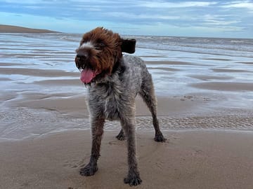 Dave says it's a bit windy out there