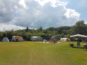 Camping on the Narcissus field