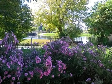 The river in a lush setting