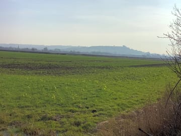Views from site