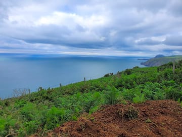 Views of the sea