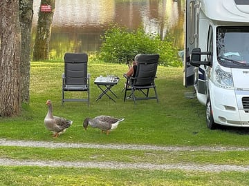 Touring pitches