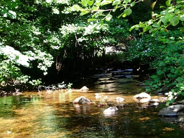 Rivers around the site