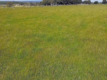 Non-electric grass pitch