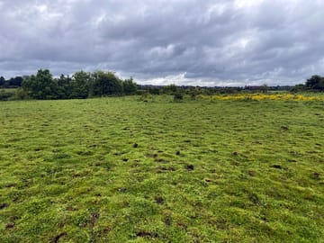 Camping field