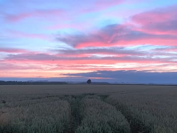 Sunsets