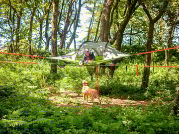 Woodland tree tent