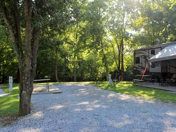Quiet pitches surrounded by trees