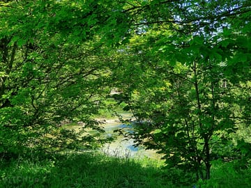 Down by the river
