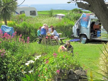 Picnic
